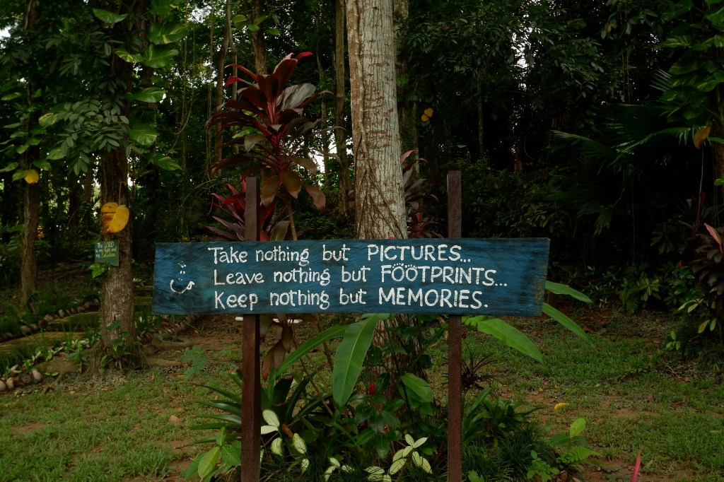 ode to my&nbsp;friends